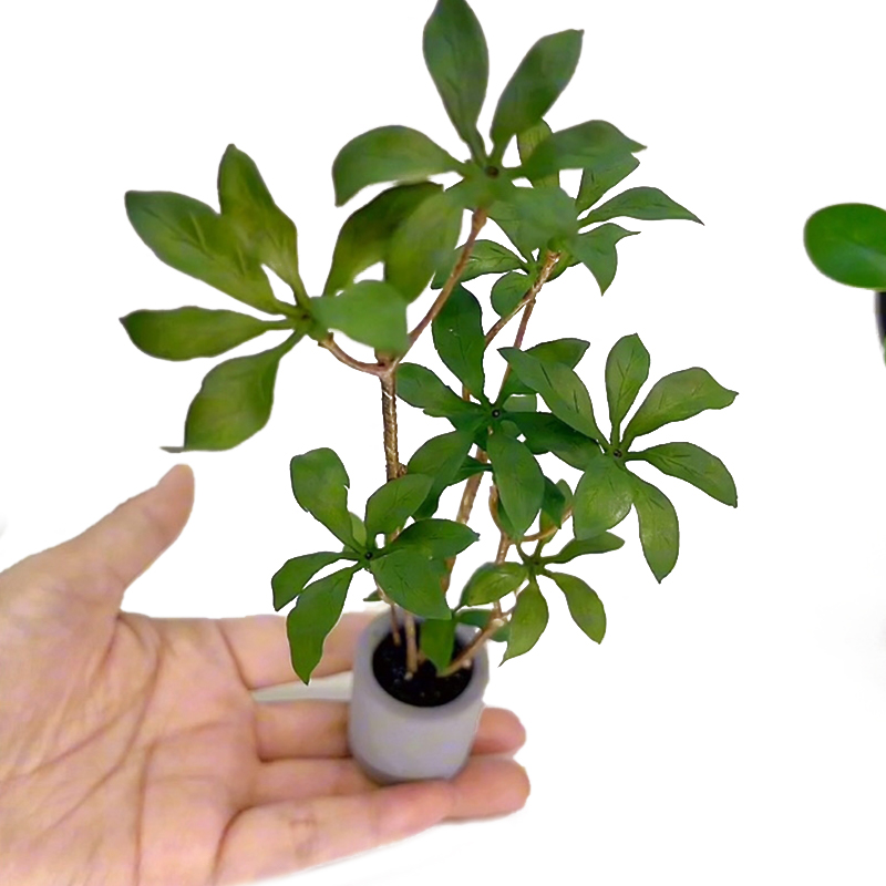 Bonsai Garden Zen - 1:6 Dollhouse Miniature Potted Plants Model