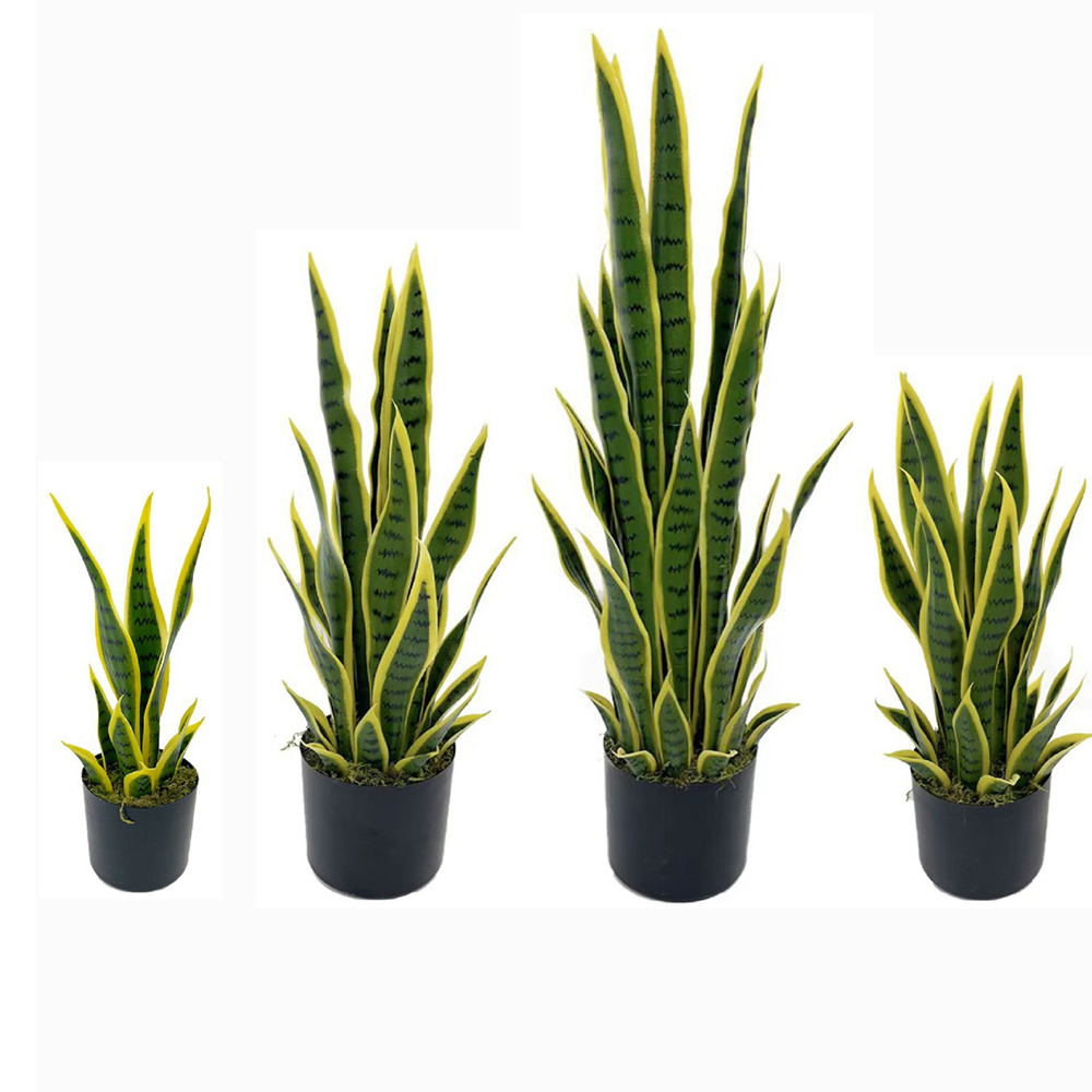 Bonsai Garden Zen - 40-100cm Artificial Sansevieria Snake Plant With