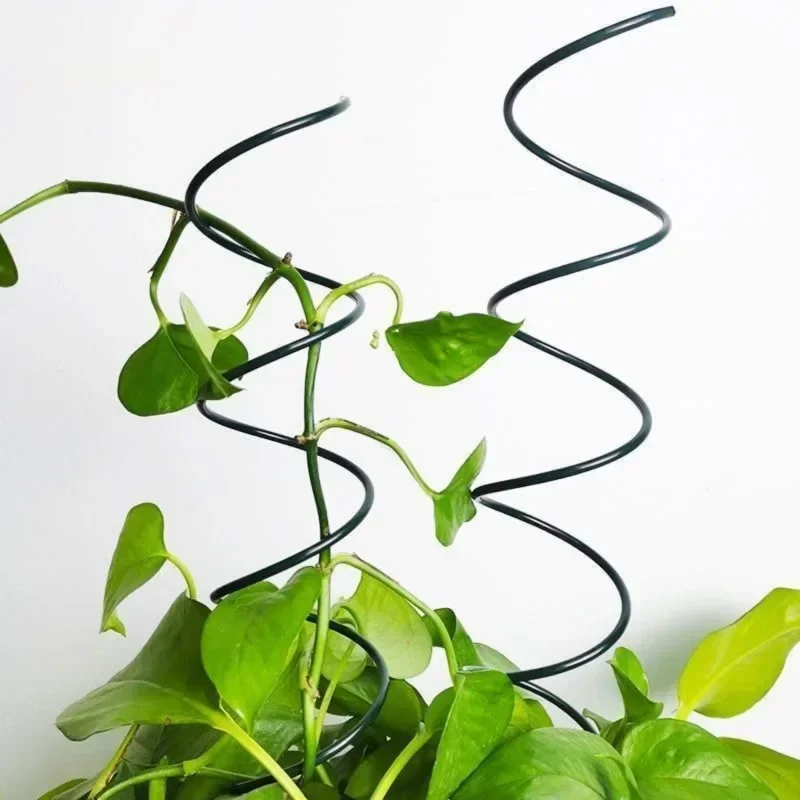 Climbing Plant Support Stake S - đánh giá và giá Bonsai Garden Usa