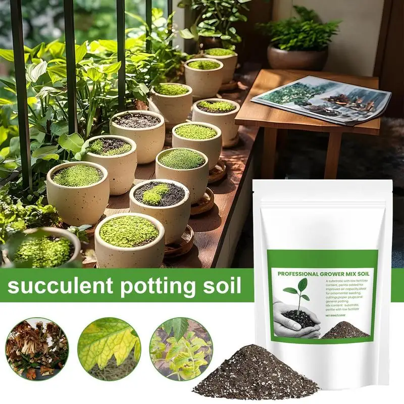 Succulent Soil Potting Mix Aer - đánh giá và giá Bonsai Garden Usa