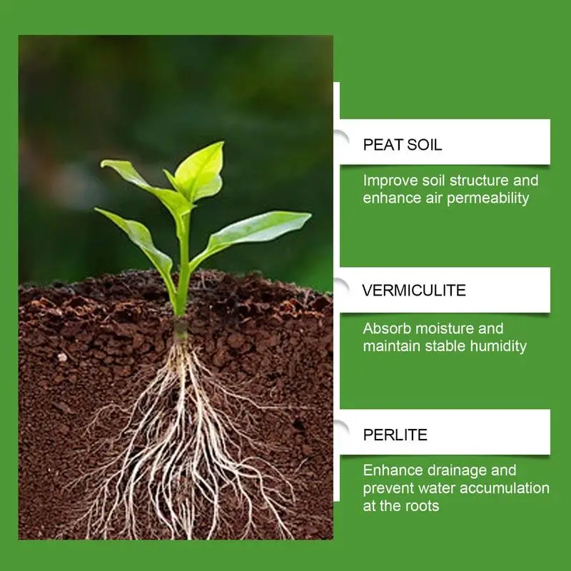 Succulent Soil Potting Mix Aer - đánh giá và giá Bonsai Garden Usa