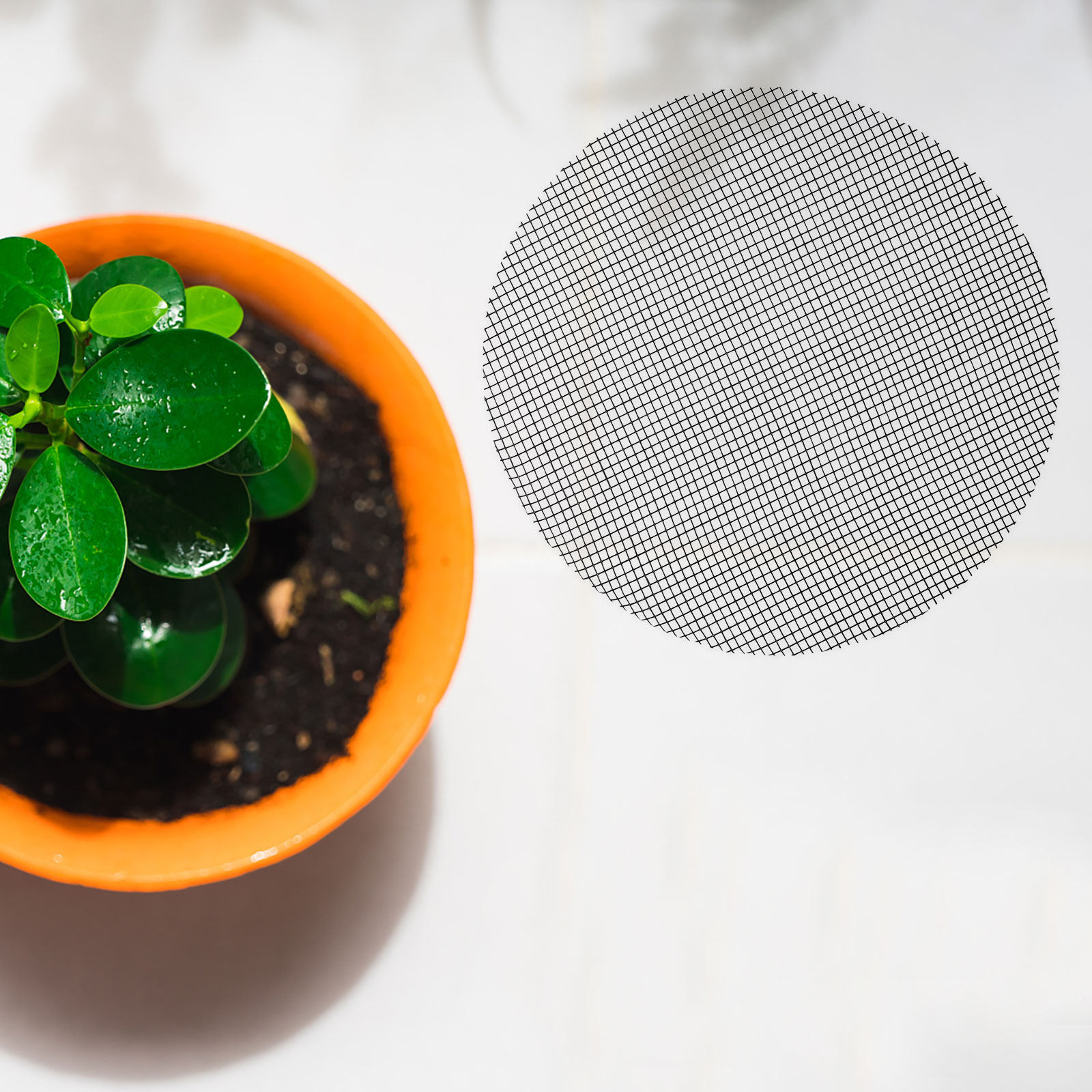 50Pcs Flower Pot Hole Mesh Pad - đánh giá và giá Bonsai Garden Usa