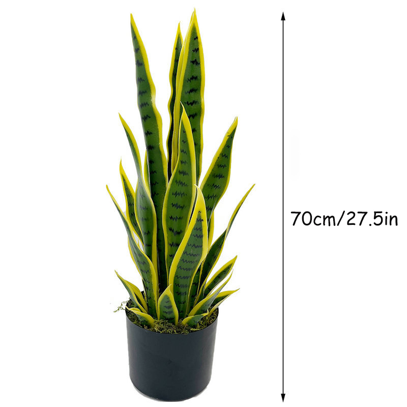 40-100cm Artificial Sansevieri - đánh giá và giá Bonsai Garden Zen