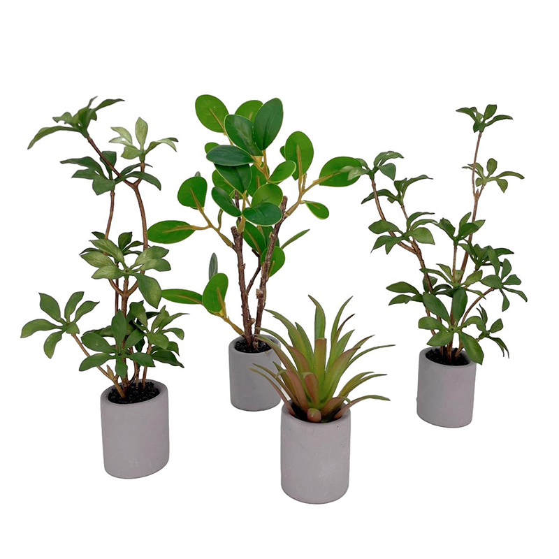 1:6 Dollhouse Miniature Potted - đánh giá và giá Bonsai Garden Zen