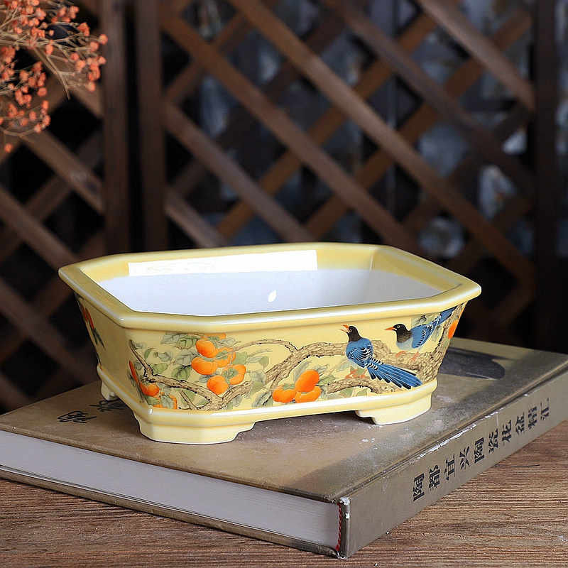 Porcelain Rectangle Bonsai Pot - đánh giá và giá Bonsai Garden Table