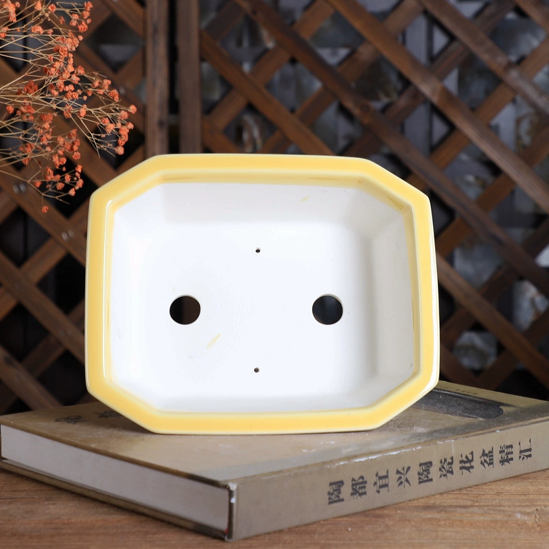 Porcelain Rectangle Bonsai Pot - đánh giá và giá Bonsai Garden Table