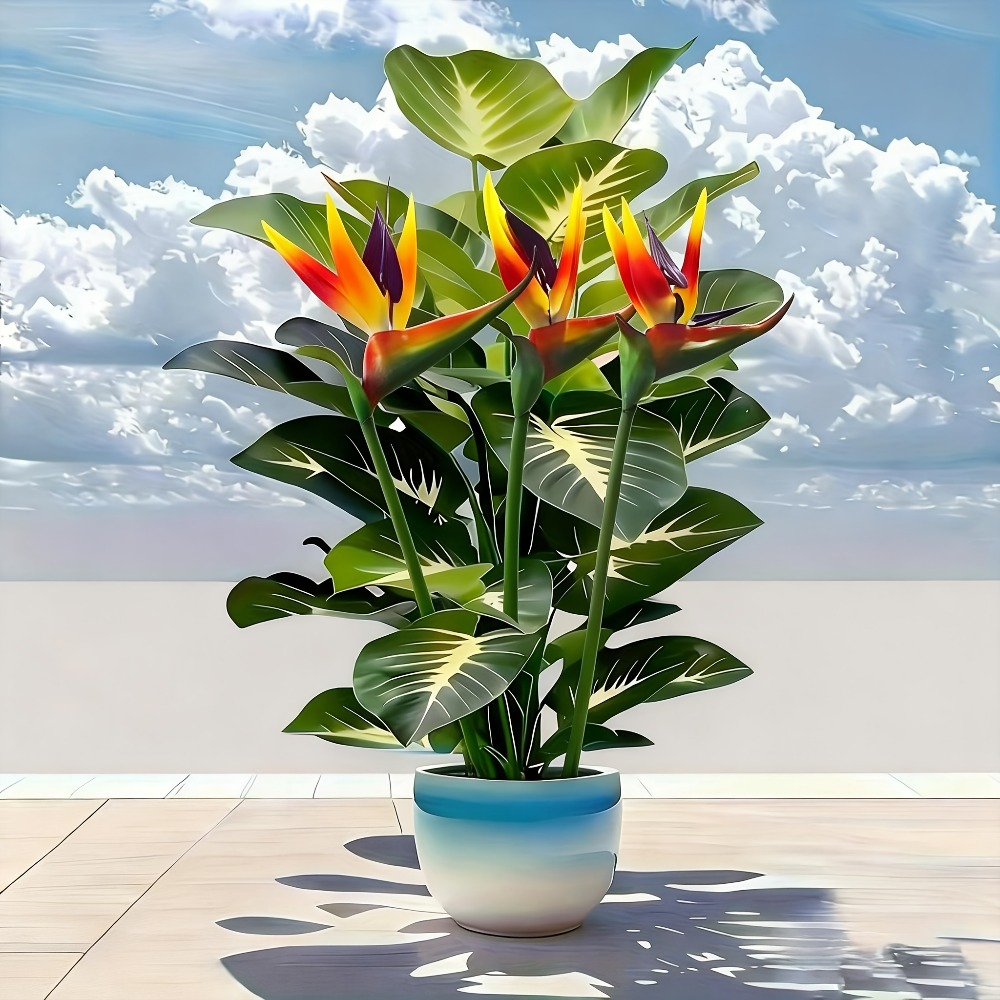 Artificial Bird of Paradise an - đánh giá và giá Bonsai Garden Zen