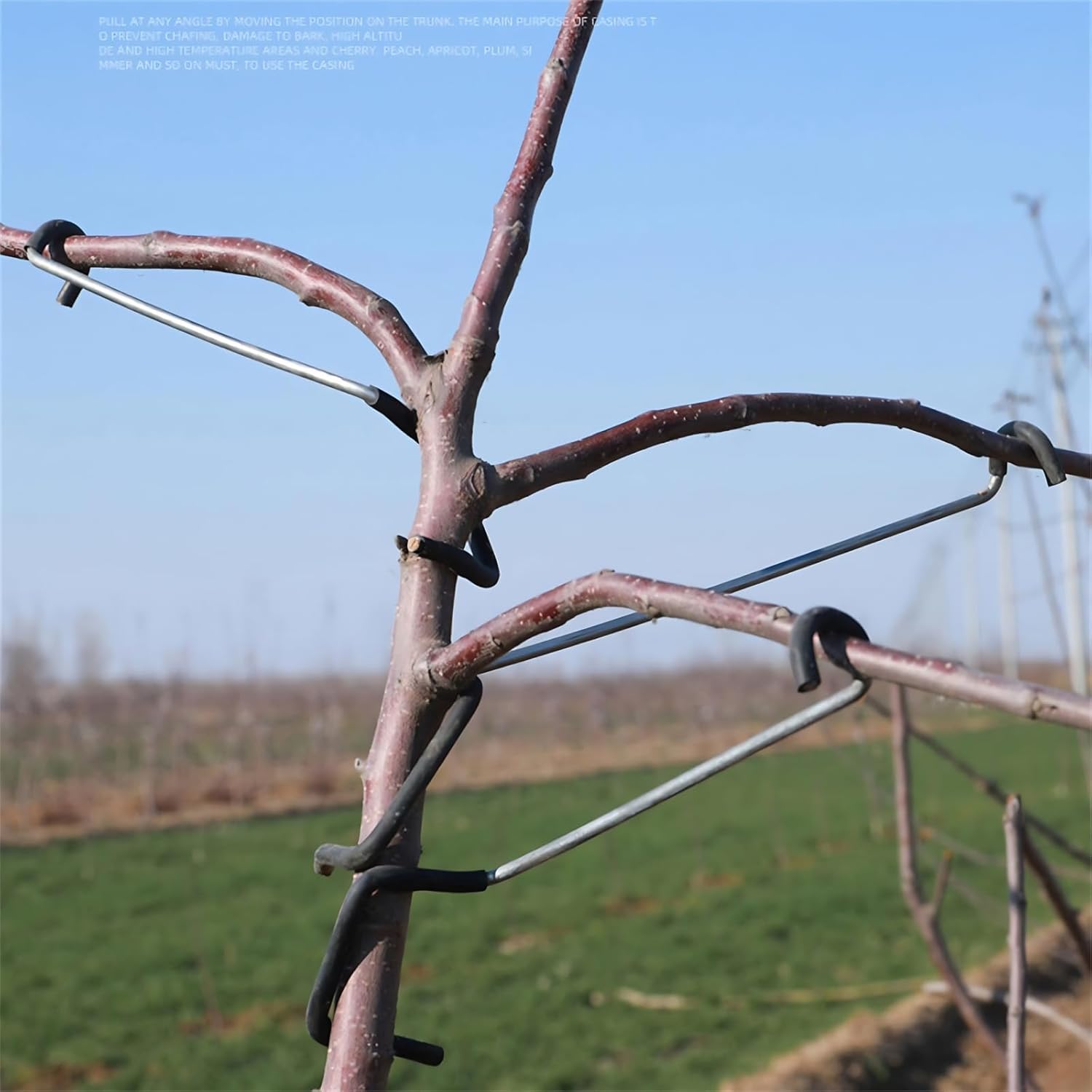 Adjustable Fruit Tree Branch S - đánh giá và giá Bonsai Garden Usa