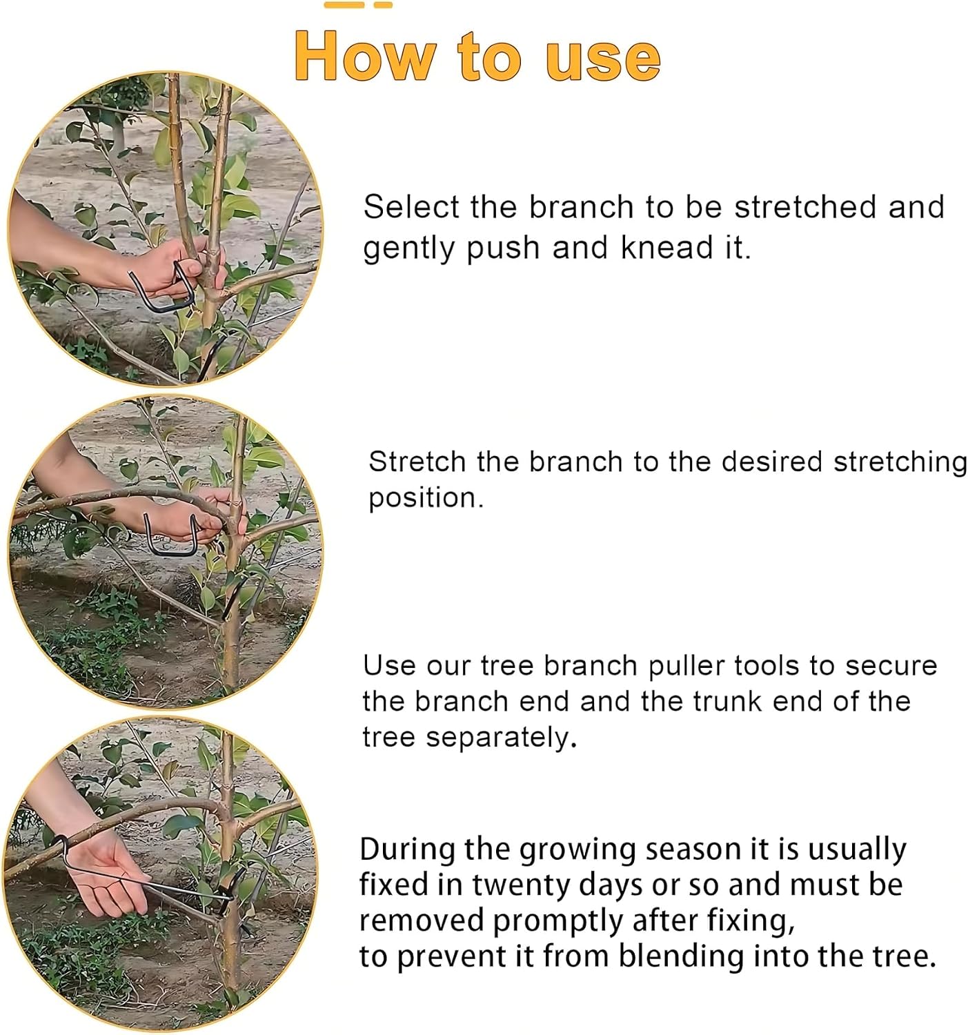 Adjustable Fruit Tree Branch S - đánh giá và giá Bonsai Garden Usa