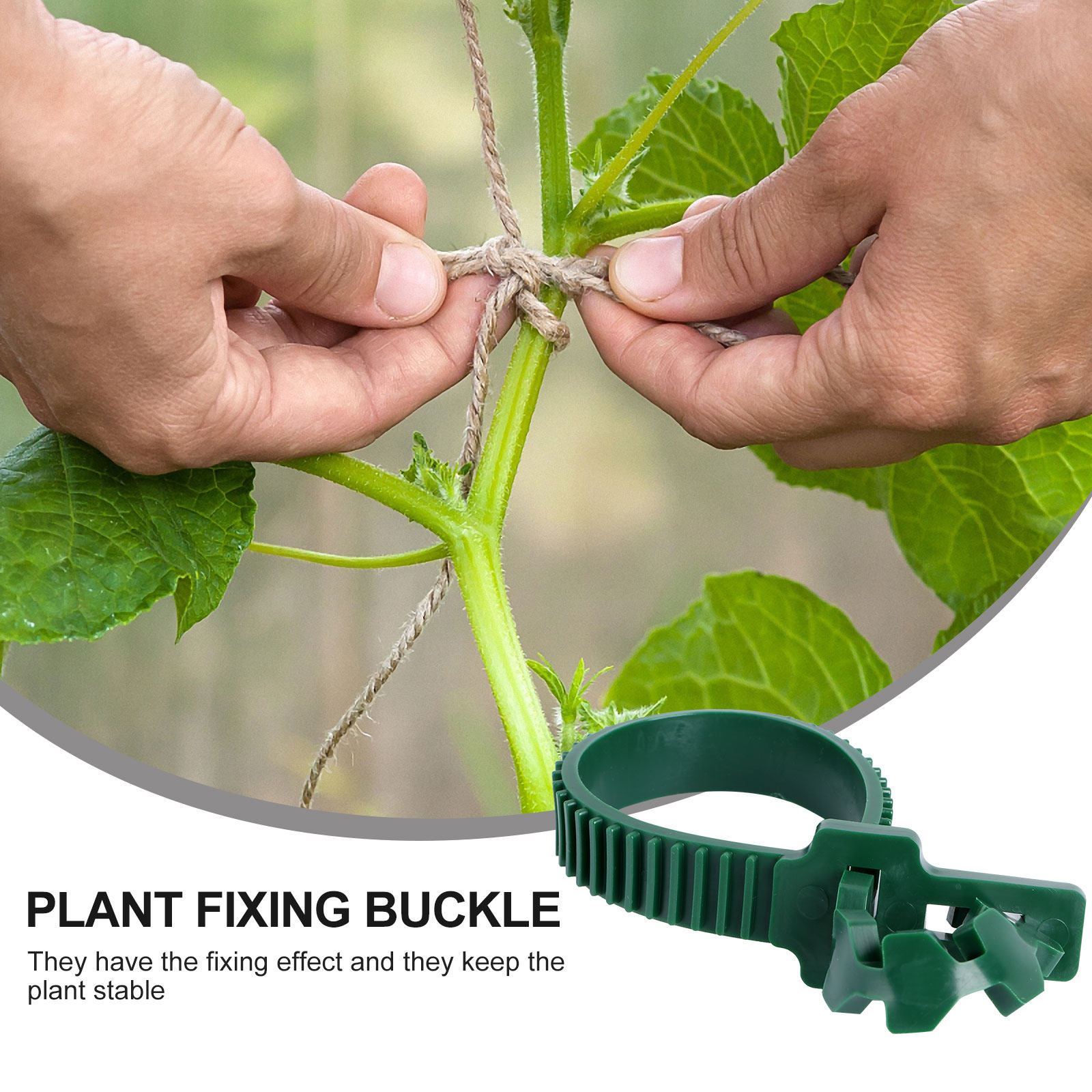 20Pcs Vine Fixing Buckle Garde - đánh giá và giá Bonsai Garden Usa