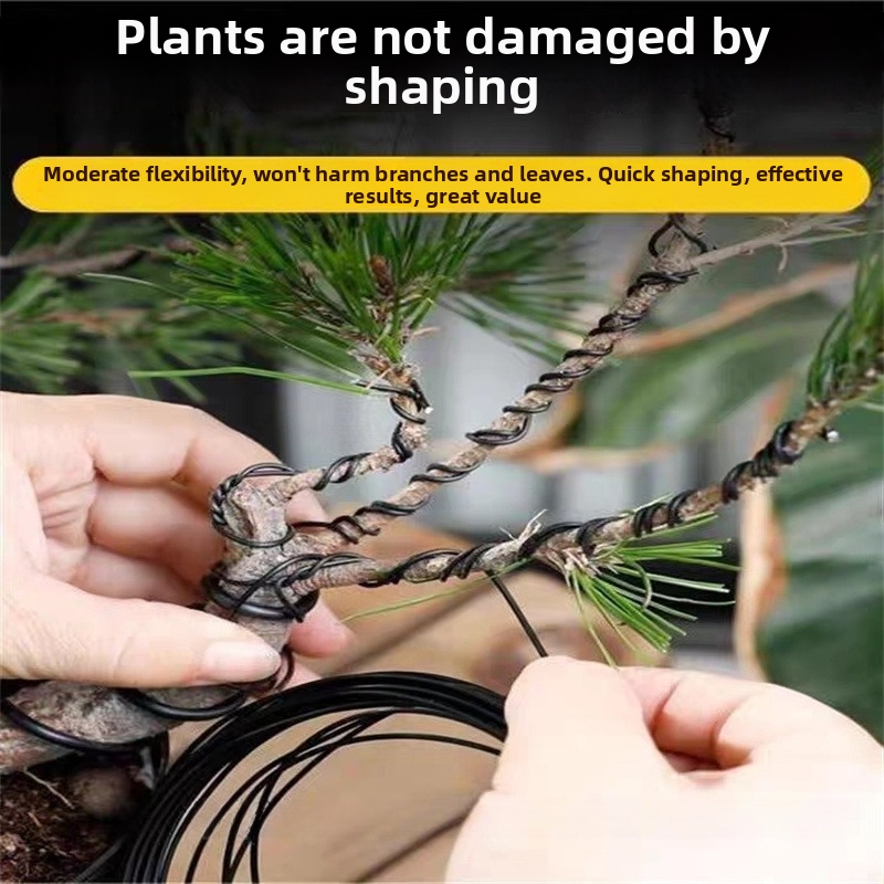 1.5MM Bonsai Wires Aluminum Bo - đánh giá và giá Bonsai Garden Usa