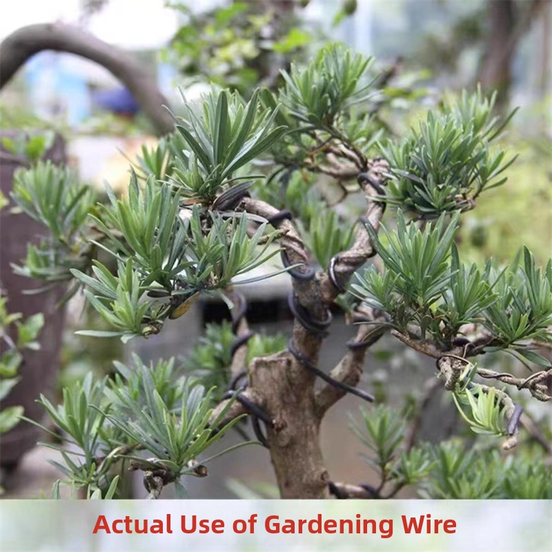 1.5MM Bonsai Wires Aluminum Bo - đánh giá và giá Bonsai Garden Usa