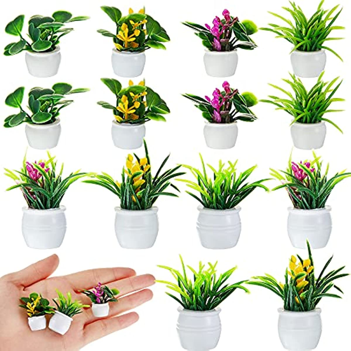 Dollhouse Plant, Miniature Bon - đánh giá và giá Bonsai Garden Zen