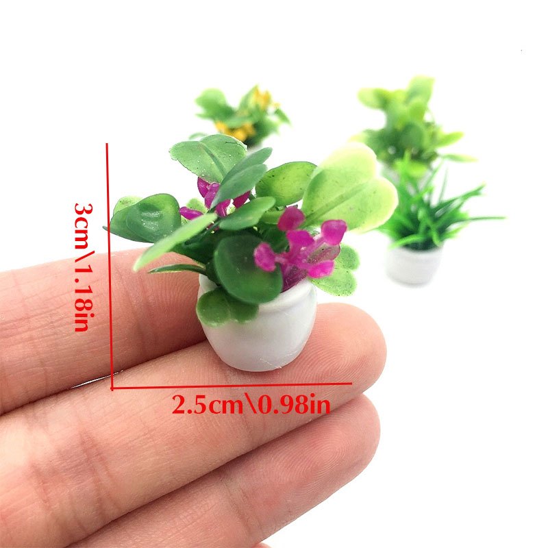 Dollhouse Plant, Miniature Bon - đánh giá và giá Bonsai Garden Zen