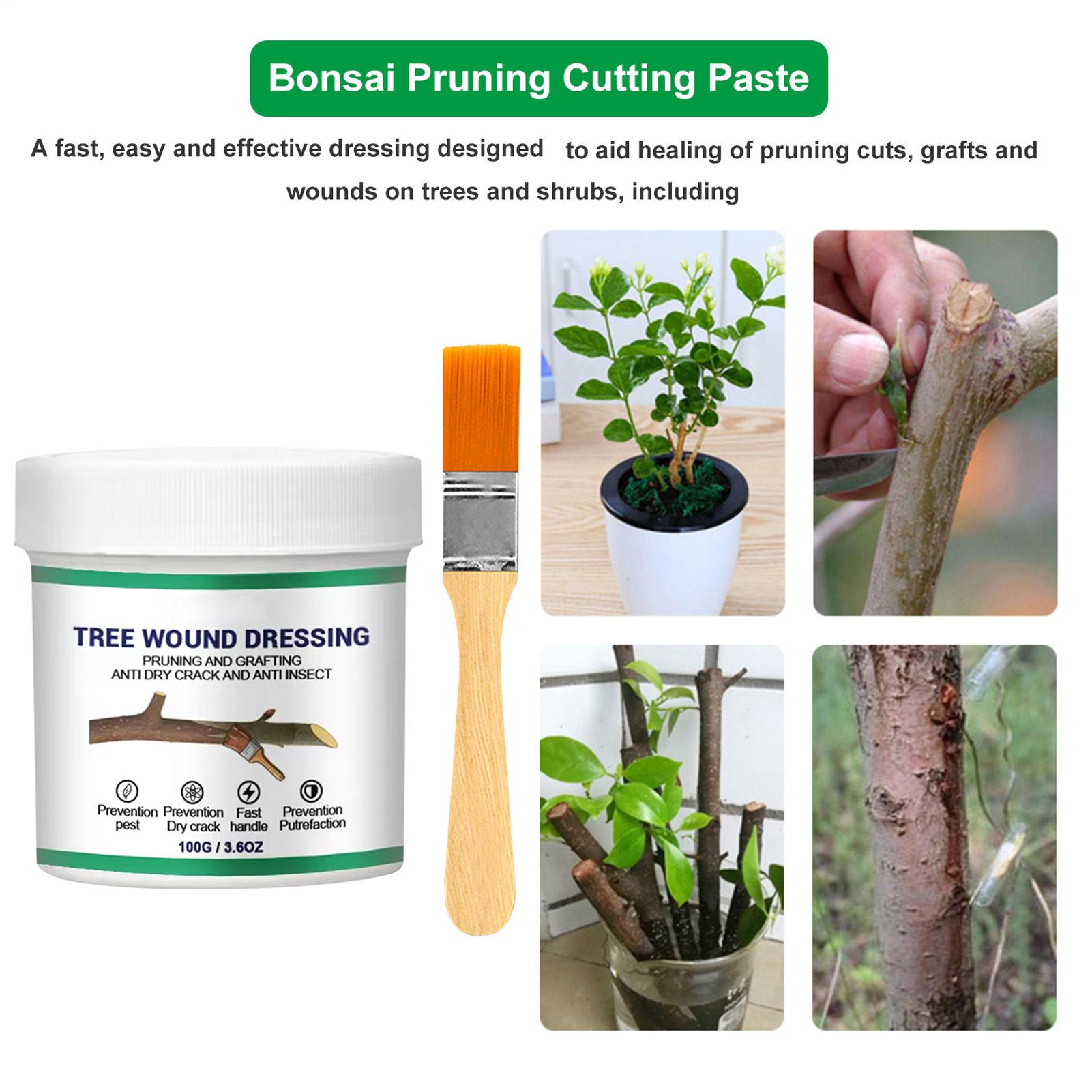 100g Tree Wound Pruning Sealer - đánh giá và giá Bonsai Garden Usa