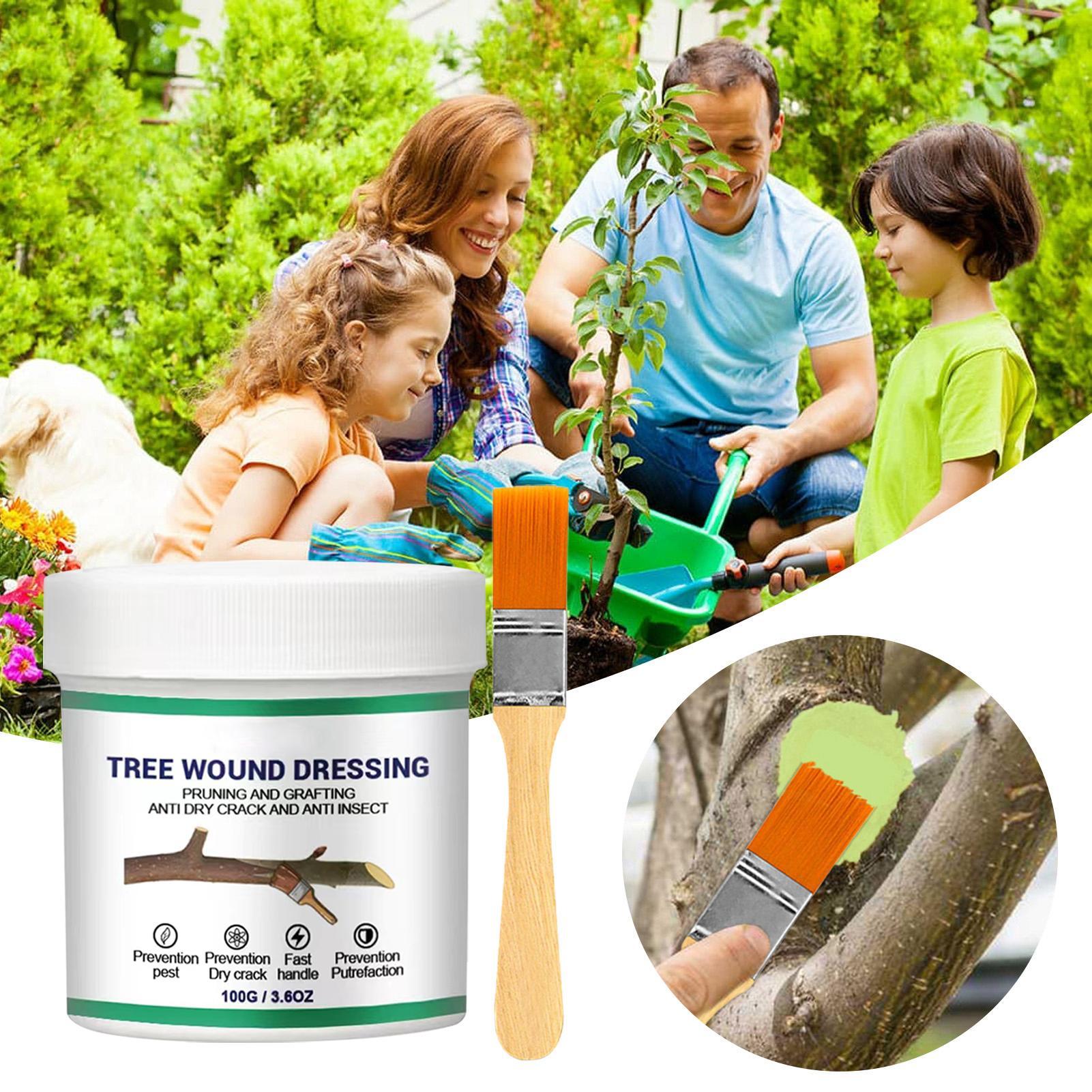 100g Tree Wound Pruning Sealer - đánh giá và giá Bonsai Garden Usa