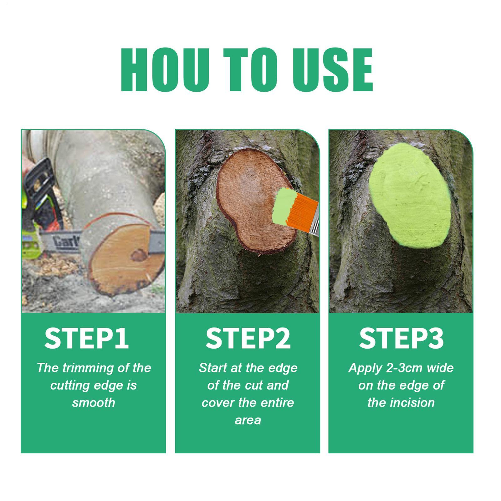 100g Tree Wound Pruning Sealer - đánh giá và giá Bonsai Garden Usa