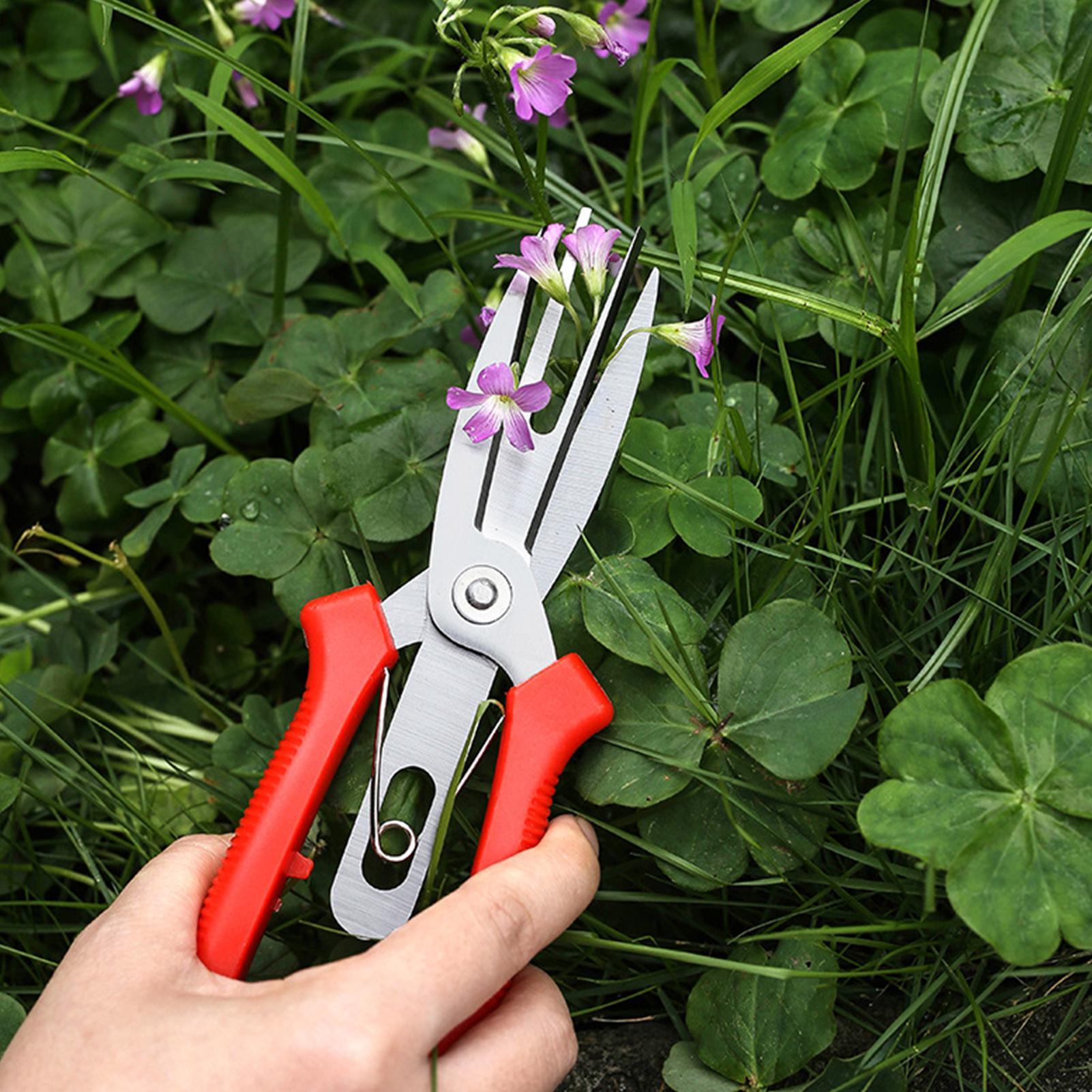 Garden Shears Stainless Steel  - đánh giá và giá Bonsai Garden Usa