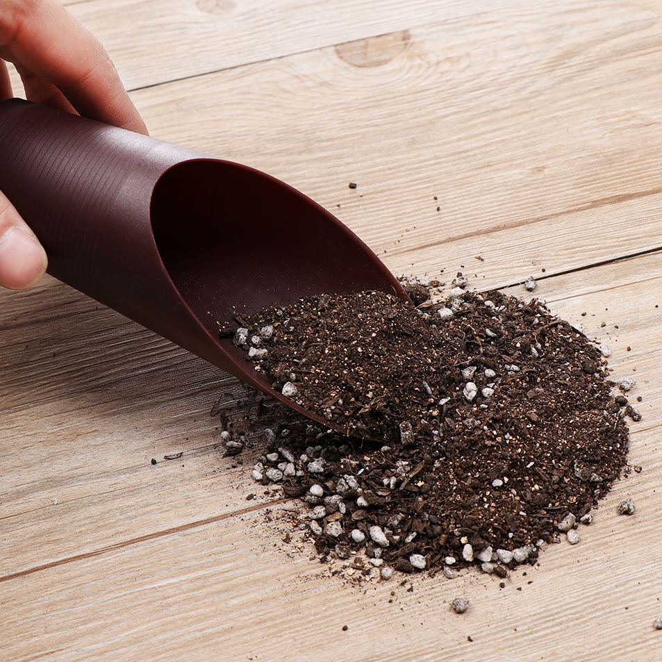 1PC Plastic Soil Shovel Cup Fo - đánh giá và giá Bonsai Garden Usa